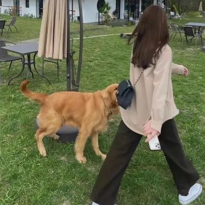 老爸老妈离婚时